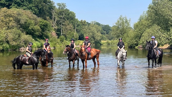 Promotional image of Bank Farm Equestrian