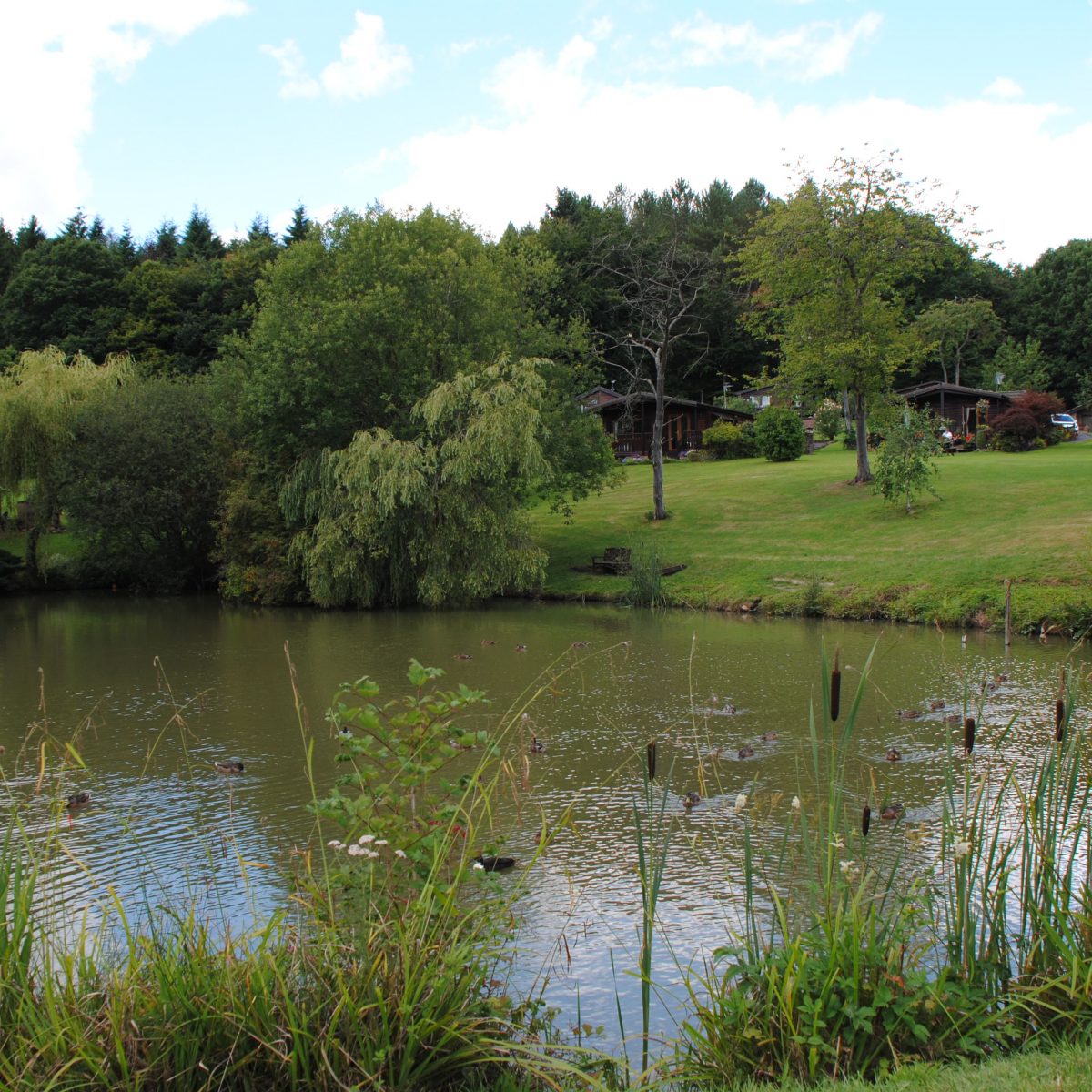 Gallery • Coppice Gate