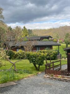 Two lodges surrounded by the Wyre Forest trees