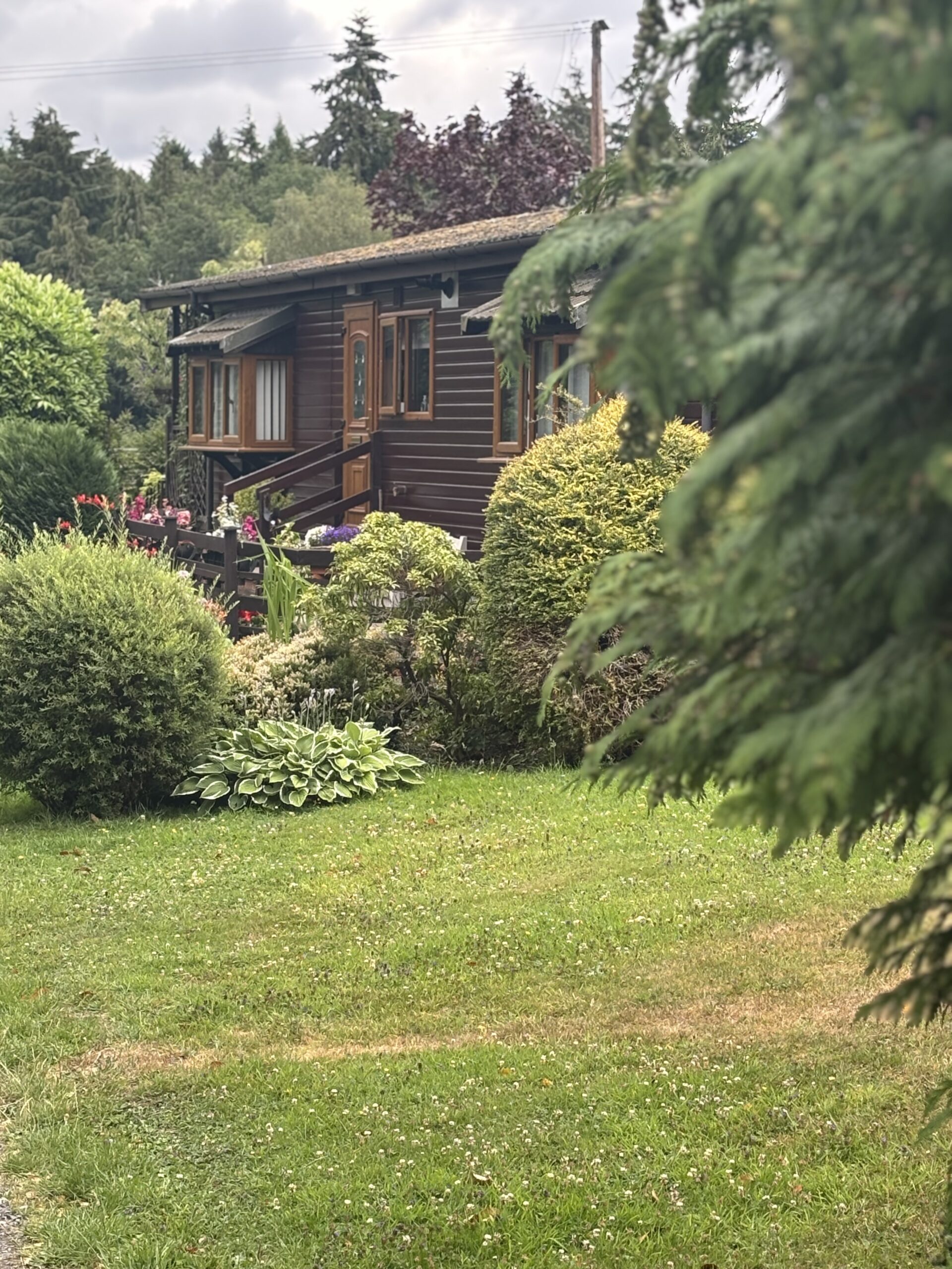 One of the secluded lodges at Coppice Gate over 50's holiday park